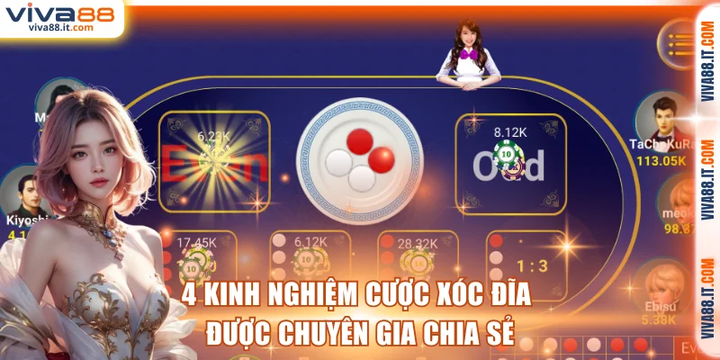 4 kinh nghiệm cược xóc đĩa được chuyên gia chia sẻ