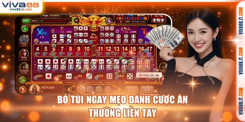 Bỏ túi ngay mẹo đánh cược ăn thưởng liền tay