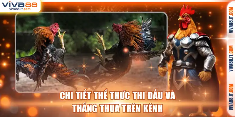 Chi tiết thể thức thi đấu và thắng thua trên kênh