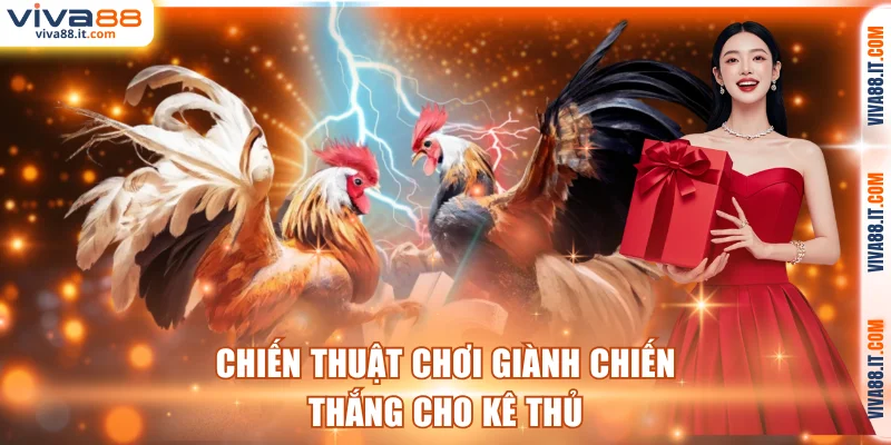 Chiến thuật chơi giành chiến thắng cho kê thủ