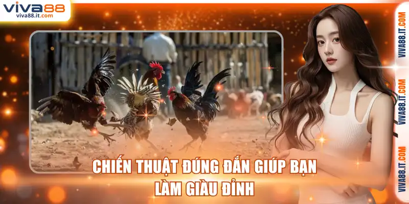 Chiến thuật đúng đắn giúp bạn làm giàu đỉnh