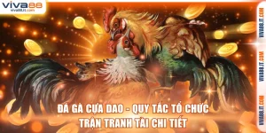 Đá gà cựa dao