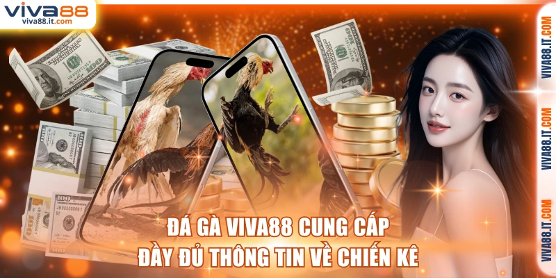 Đá gà VIVA88 cung cấp đầy đủ thông tin về chiến kê