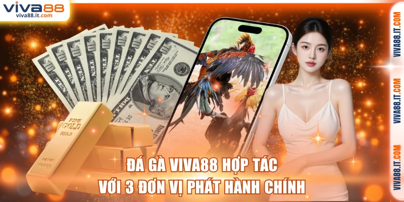 Đá gà VIVA88 hợp tác với 3 đơn vị phát hành chính