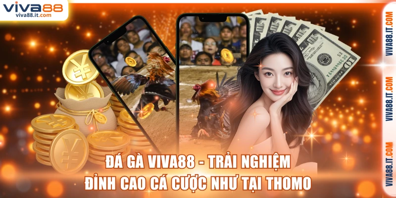 Đá Gà VIVA88 - Trải Nghiệm Đỉnh Cao Cá Cược Như Tại Thomo