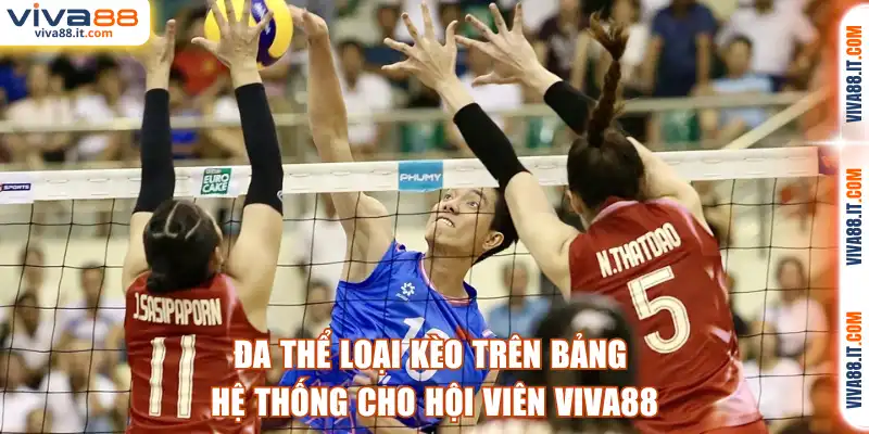 Đa thể loại kèo trên bảng hệ thống cho hội viên VIVA88