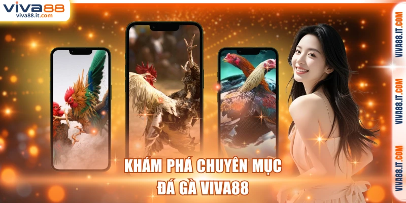 Khám phá chuyên mục đá gà VIVA88