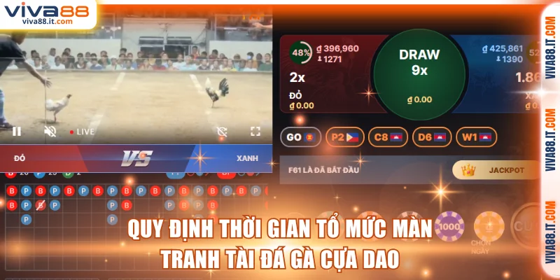 Quy định thời gian tổ mức màn tranh tài đá gà cựa dao