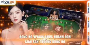 Rồng hổ VIVA88