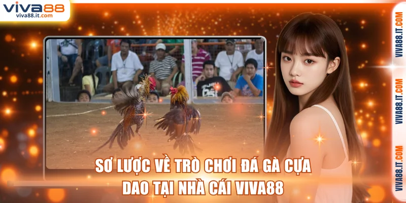 Sơ lược về trò chơi đá gà cựa dao tại VIVA88