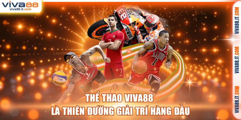 Thể thao VIVA88 là thiên đường giải trí hàng đầu