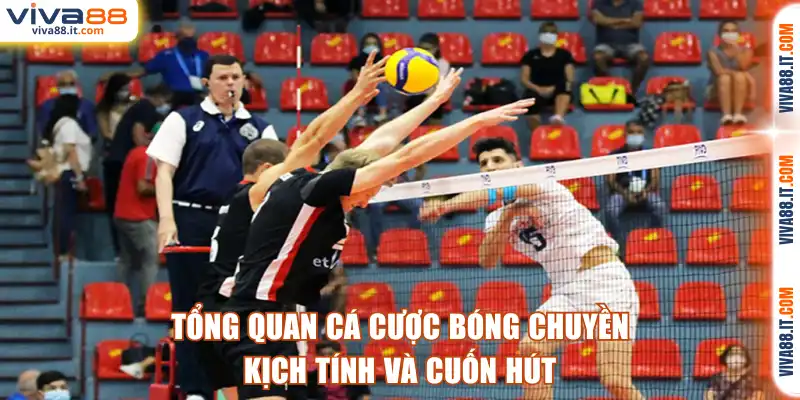 Tổng quan cá cược bóng chuyền kịch tính và cuốn hút